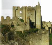 Angles sur l'Anglin (86) - Ruines du chateau (2)